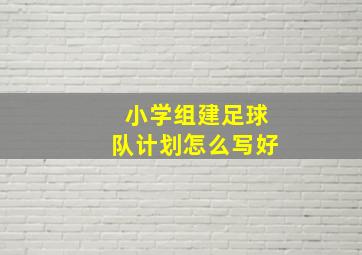 小学组建足球队计划怎么写好