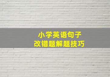 小学英语句子改错题解题技巧