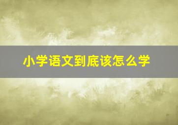 小学语文到底该怎么学