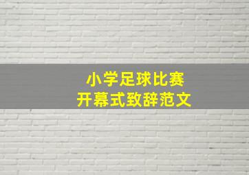 小学足球比赛开幕式致辞范文