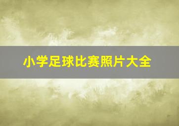 小学足球比赛照片大全