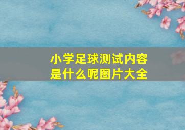 小学足球测试内容是什么呢图片大全