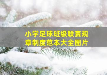 小学足球班级联赛规章制度范本大全图片