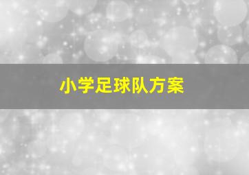 小学足球队方案