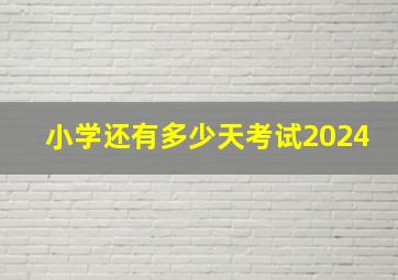 小学还有多少天考试2024