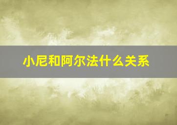 小尼和阿尔法什么关系