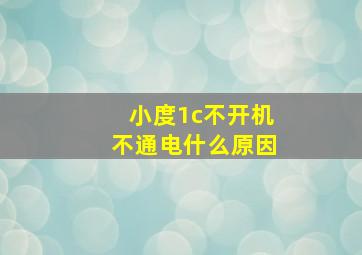 小度1c不开机不通电什么原因