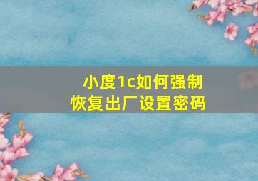 小度1c如何强制恢复出厂设置密码