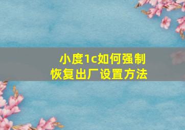 小度1c如何强制恢复出厂设置方法