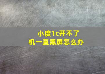 小度1c开不了机一直黑屏怎么办