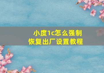 小度1c怎么强制恢复出厂设置教程