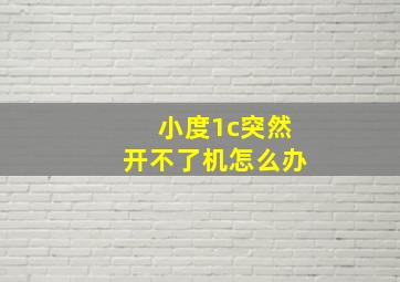 小度1c突然开不了机怎么办