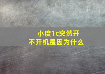 小度1c突然开不开机是因为什么