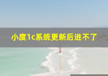 小度1c系统更新后进不了