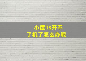 小度1s开不了机了怎么办呢