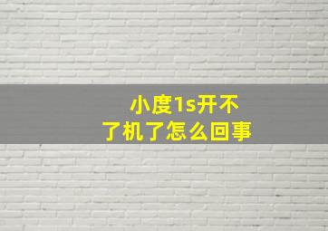 小度1s开不了机了怎么回事