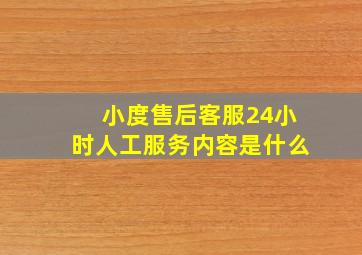 小度售后客服24小时人工服务内容是什么