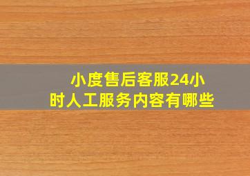 小度售后客服24小时人工服务内容有哪些