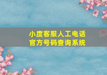 小度客服人工电话官方号码查询系统