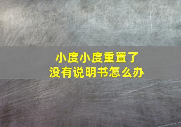 小度小度重置了没有说明书怎么办