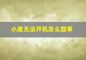 小度无法开机怎么回事