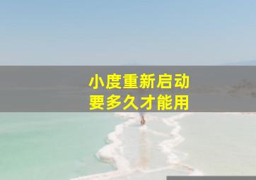 小度重新启动要多久才能用