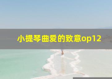 小提琴曲爱的致意op12