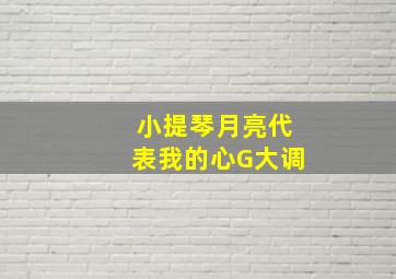 小提琴月亮代表我的心G大调