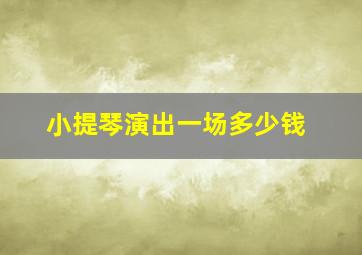 小提琴演出一场多少钱