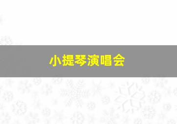 小提琴演唱会