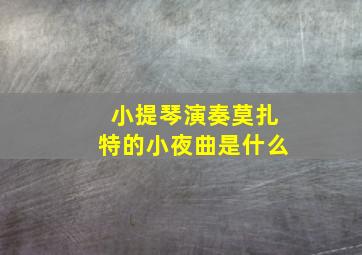 小提琴演奏莫扎特的小夜曲是什么