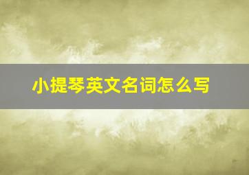 小提琴英文名词怎么写