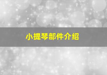 小提琴部件介绍