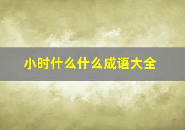 小时什么什么成语大全