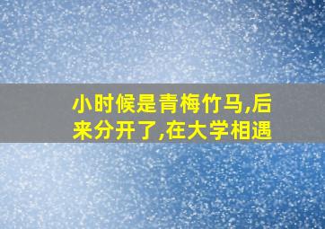 小时候是青梅竹马,后来分开了,在大学相遇