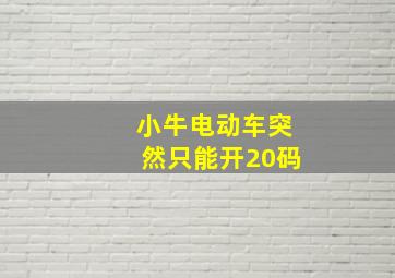 小牛电动车突然只能开20码