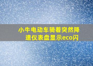 小牛电动车骑着突然降速仪表盘显示eco闪