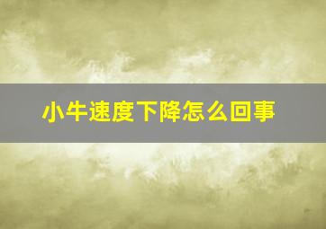 小牛速度下降怎么回事