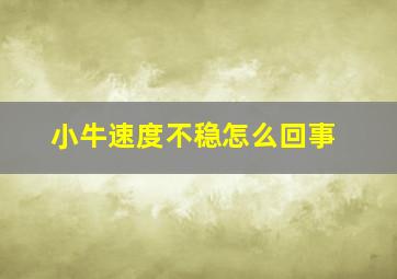 小牛速度不稳怎么回事