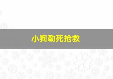 小狗勒死抢救