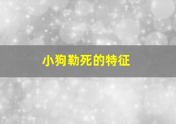 小狗勒死的特征