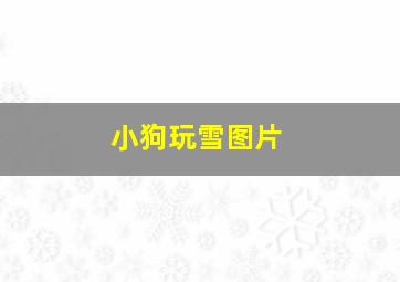 小狗玩雪图片