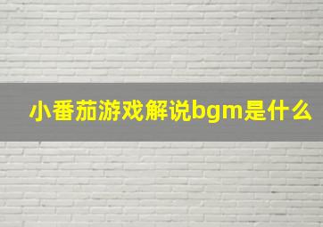 小番茄游戏解说bgm是什么