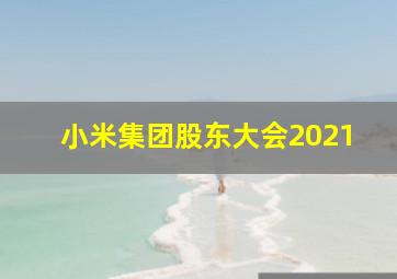 小米集团股东大会2021