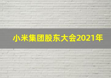 小米集团股东大会2021年