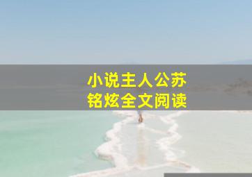 小说主人公苏铭炫全文阅读