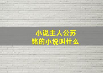 小说主人公苏铭的小说叫什么