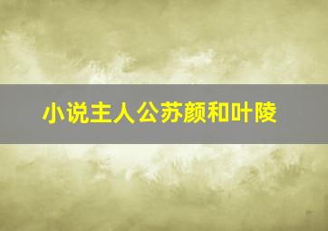 小说主人公苏颜和叶陵