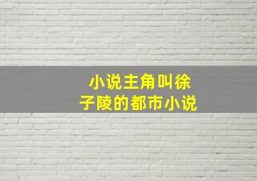 小说主角叫徐子陵的都市小说