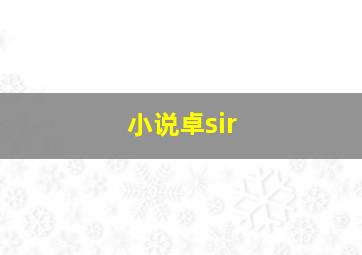 小说卓sir